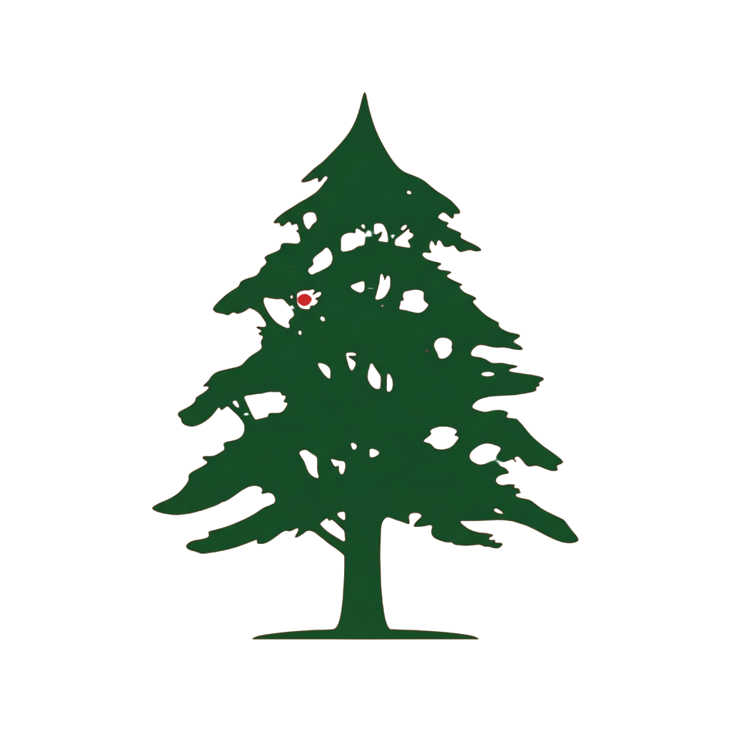 A green Christmas tree with a red star decoration near the top