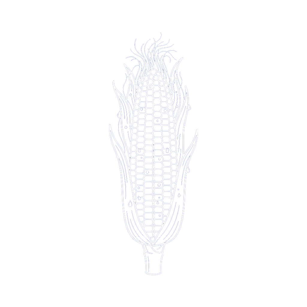 A white line drawing of a single corn cob with husk and kernels clearly visible