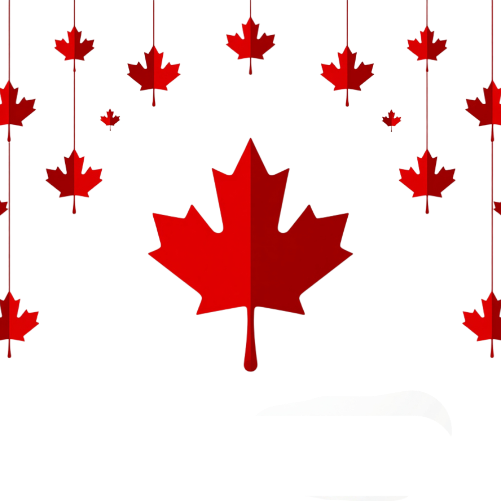 Red Canadian Maple Leaves on Black Background with Snow Graphic Design - Anniversary Of The Statute Of Westminster 4