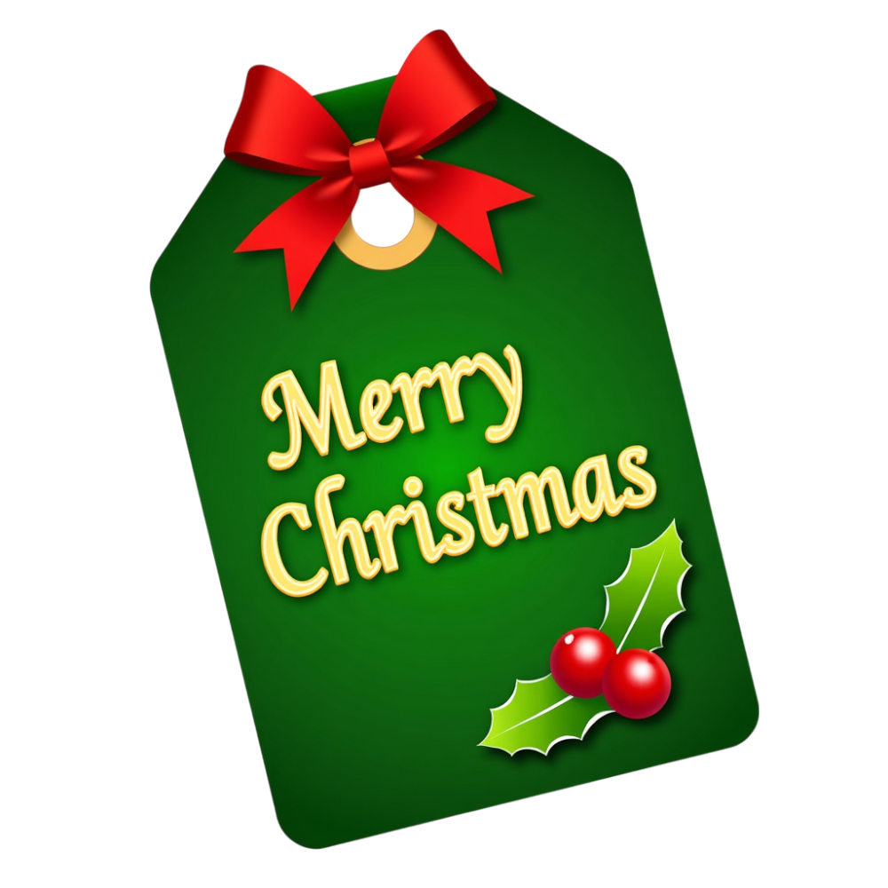 Merry Christmas Gift Tag Illustration with Red Bow and Holly Berries. Festive Season Greeting. - Christmas Card Day 15