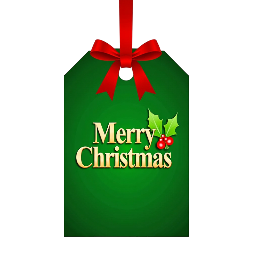 Merry Christmas festive tag, green with red ribbon, golden text, and holly design element. - Christmas Card Day 20