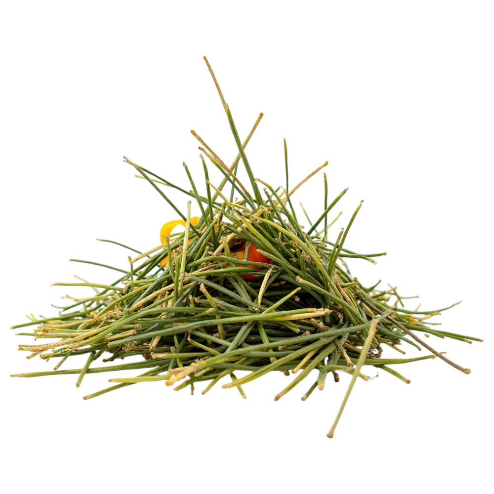 Green Grass Nest with Small Bird Hidden Inside - Falling Needles Family Fest Day 14