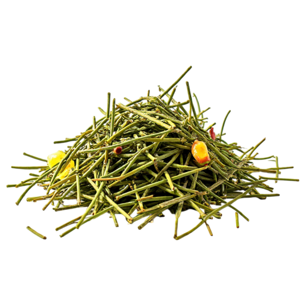 Green Herbal Stems and Dried Berries Isolated on Black Background - Falling Needles Family Fest Day 26