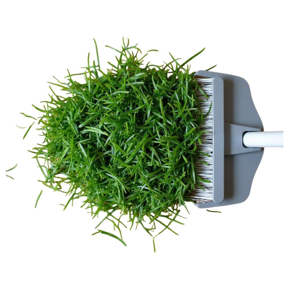 Sweeping Fresh Green Grass Clippings with Dustpan & Brush - Falling Needles Family Fest Day 39