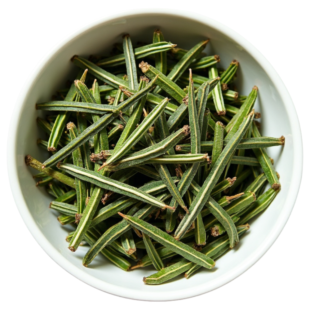 Dried Rosemary Needles in White Bowl. Fragrant Green Botanical for Culinary Use and Herbal Beverages. - Falling Needles Family Fest Day 40