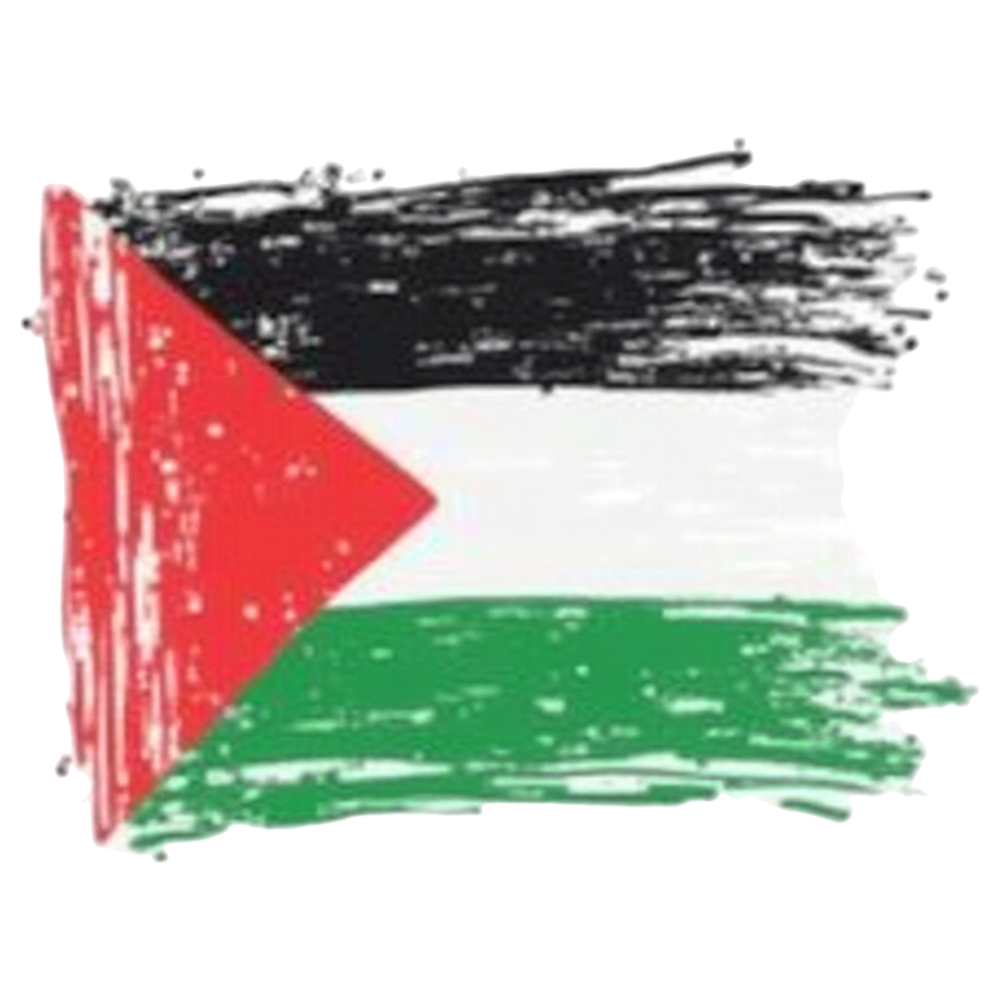 Palestine Flag Grunge Brushstroke Design. Middle East Nation Banner Art. Worn Texture Symbol - Universal Human Rights Month 19