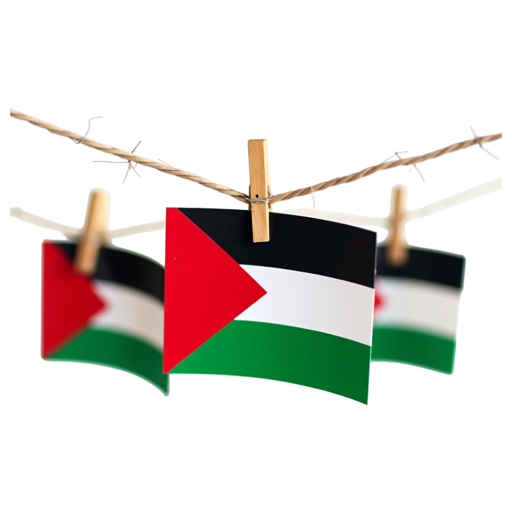 Palestine Flags on Barbed Wire with Clothespins - Universal Human Rights Month 2