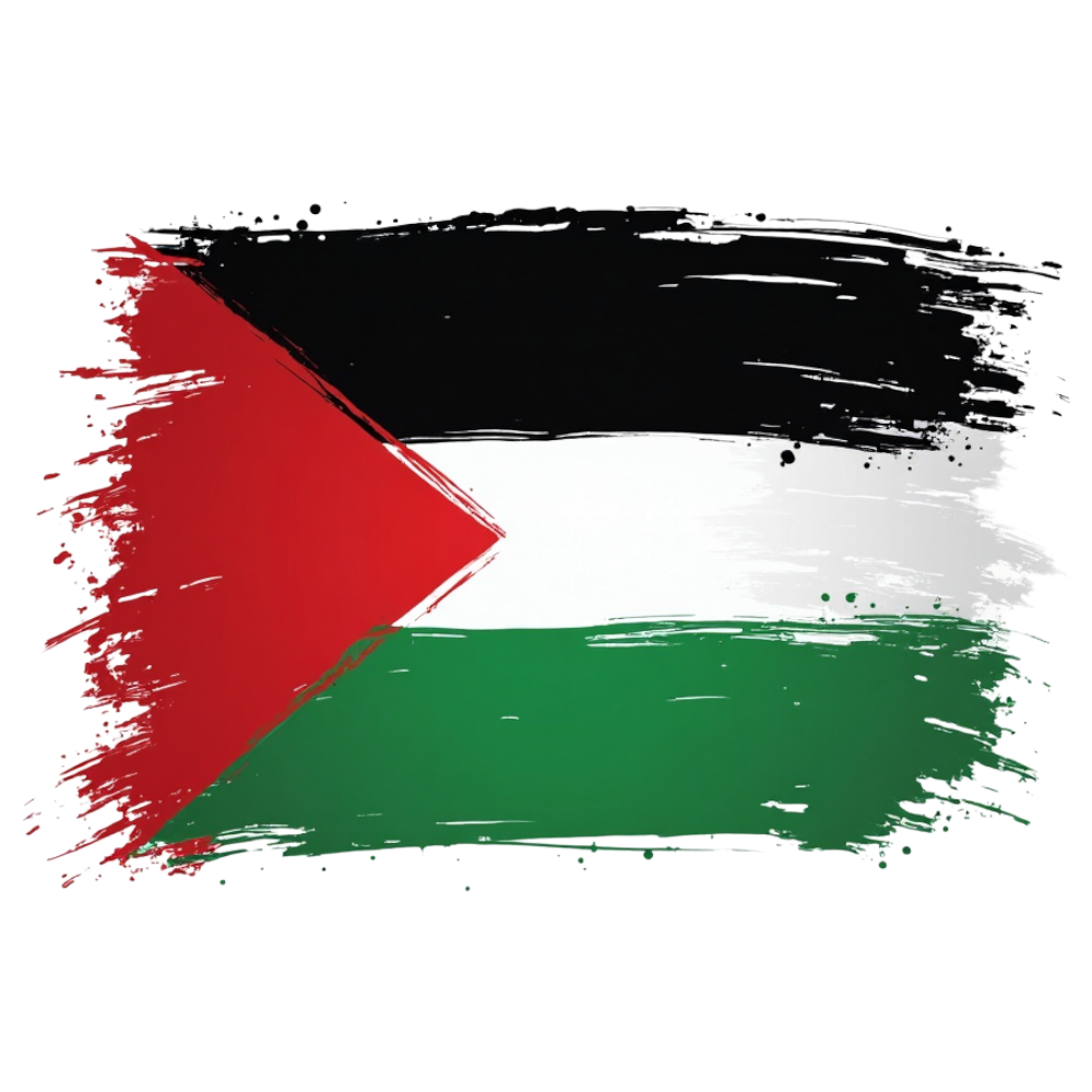 Palestinian Flag Grunge Brushstroke Artistic Render - Universal Human Rights Month 3