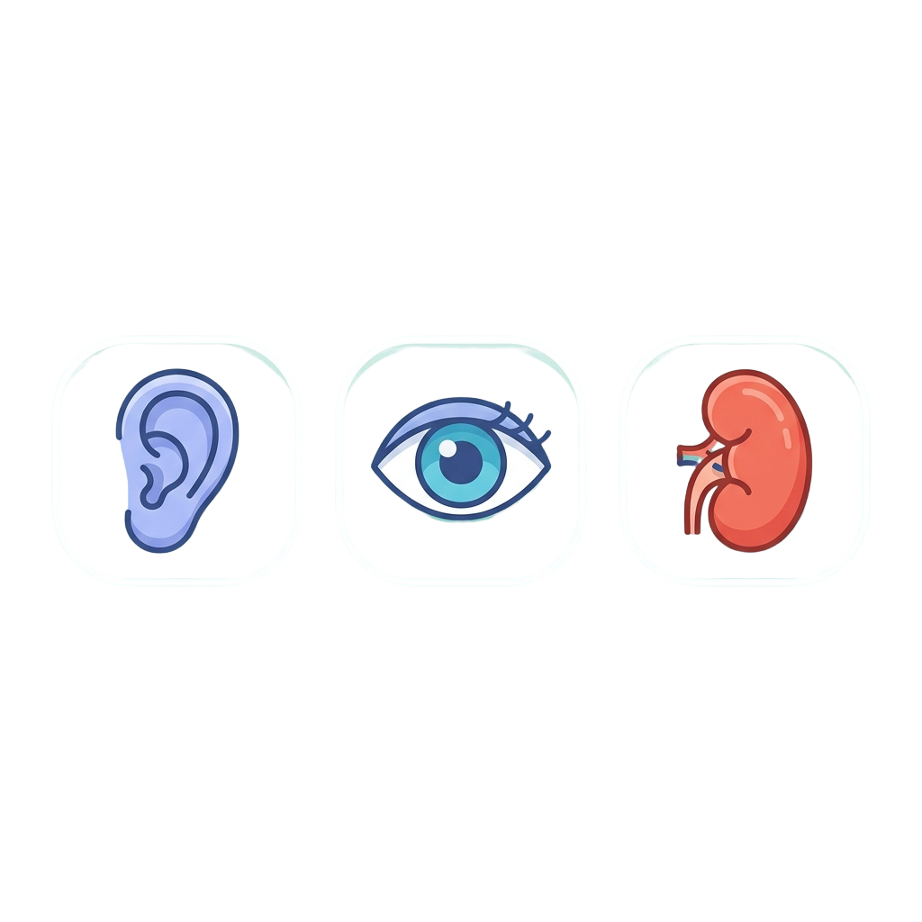Three icons showing a human ear, eye with a bandage, and a kidney.