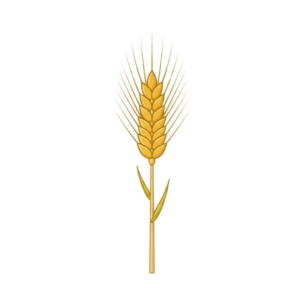 A detailed illustration of a single golden wheat ear with long grains and a slender stem.