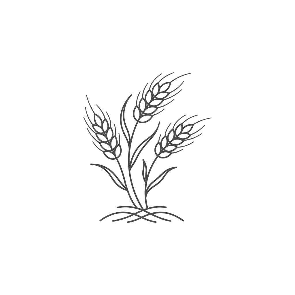 Minimalist line drawing of a wheat sheaf with three stalks and grain clusters
