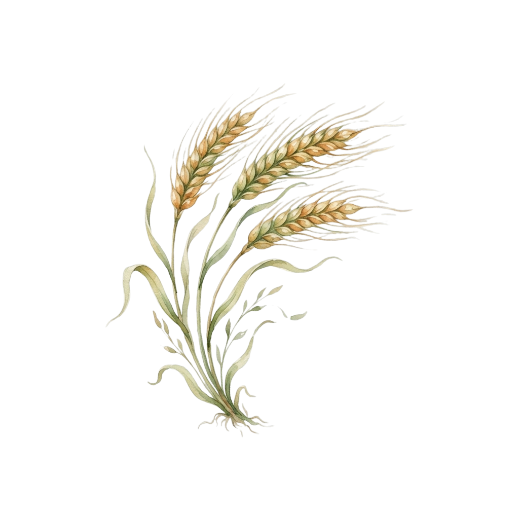 Illustration of a wheat sheaf with golden grains and green stems against a black background