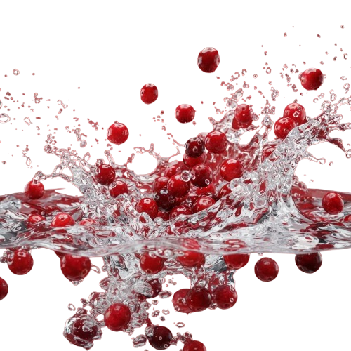 Red berries splashing and floating in water with droplets in mid-air