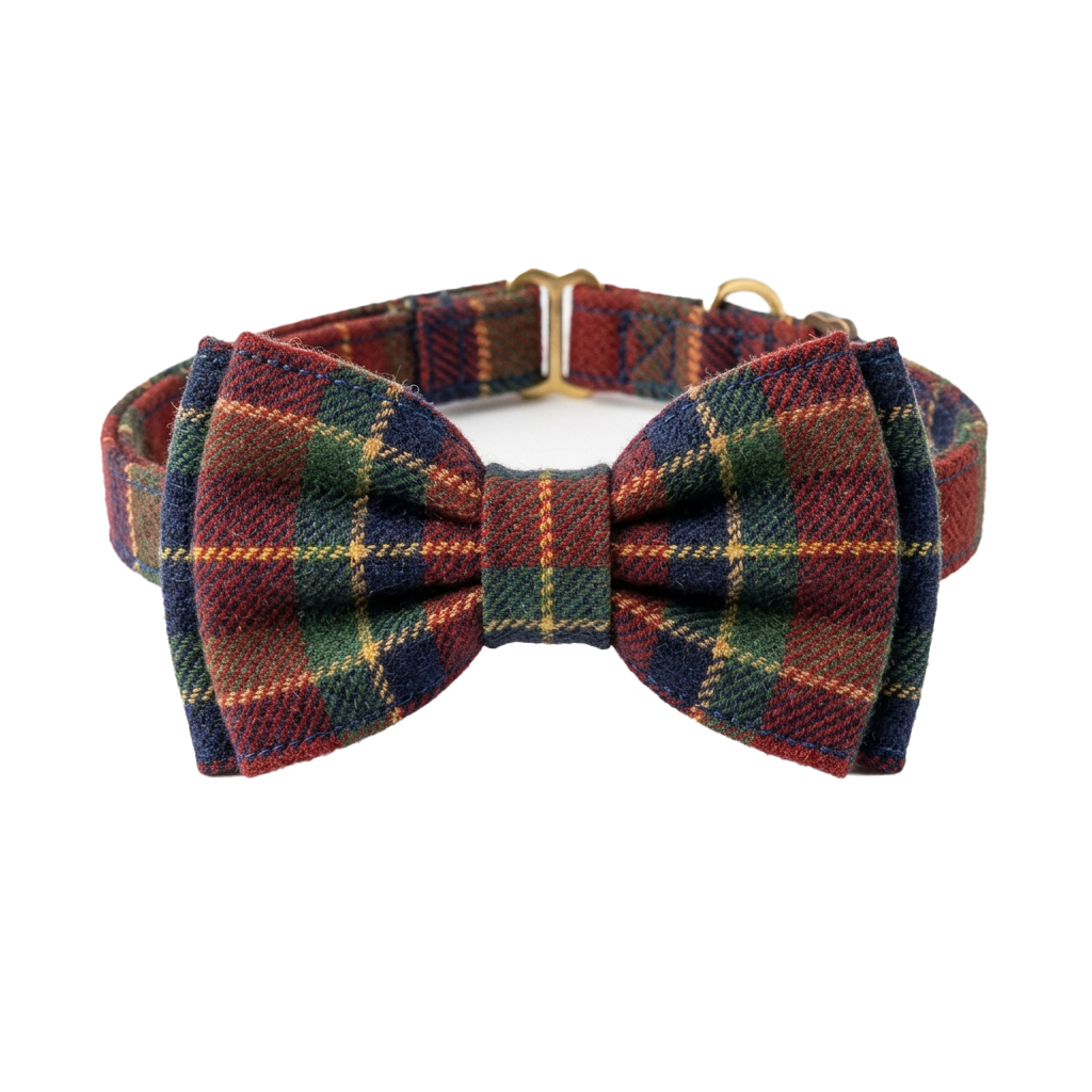 A plaid bow tie with red, green, blue, and yellow patterns on a black background