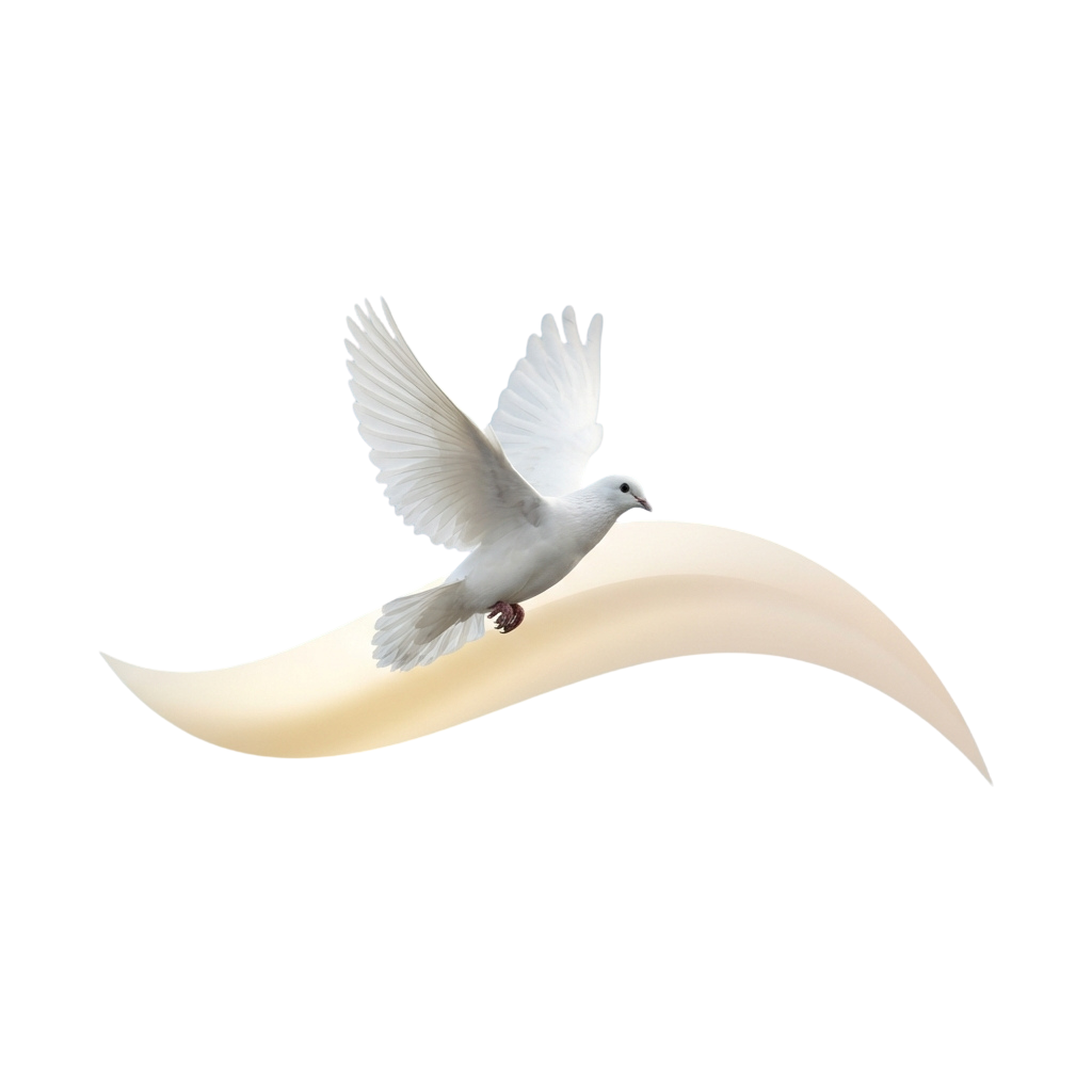 A white dove in flight with wings spread over a curved peace symbol shape