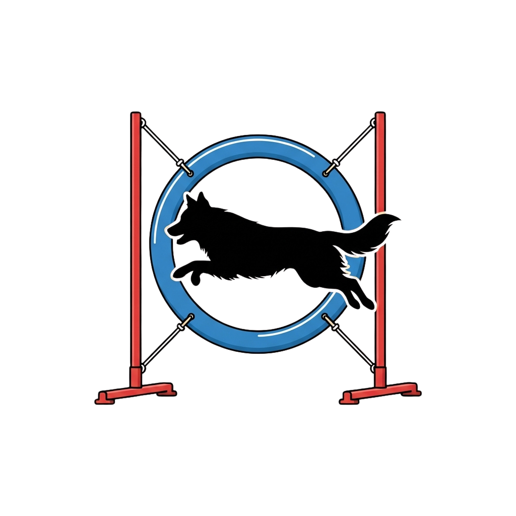 A dog jumping through a blue agility hoop supported by red poles against a dark background