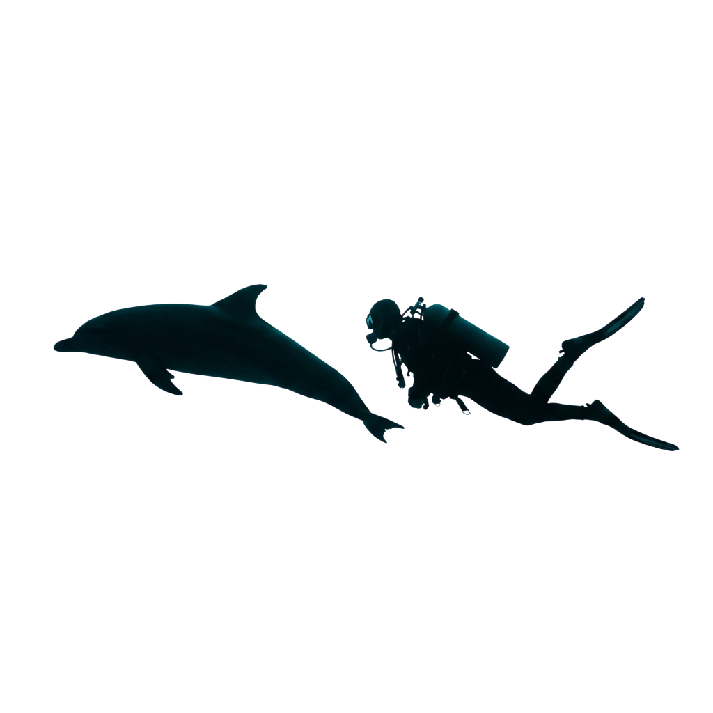 A dolphin swimming alongside a scuba diver in deep blue underwater lighting