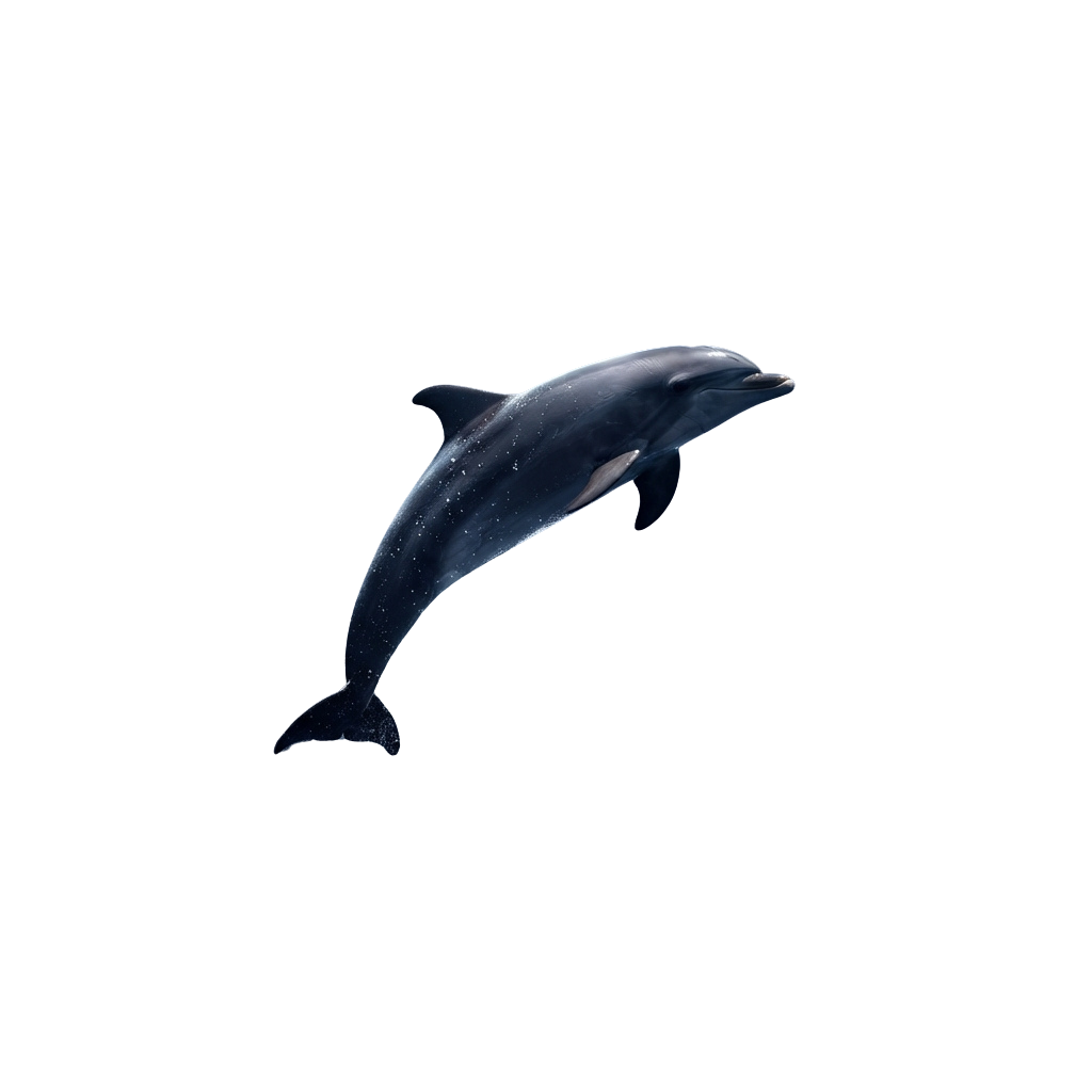 A dolphin swimming gracefully in dark water, viewed from the side