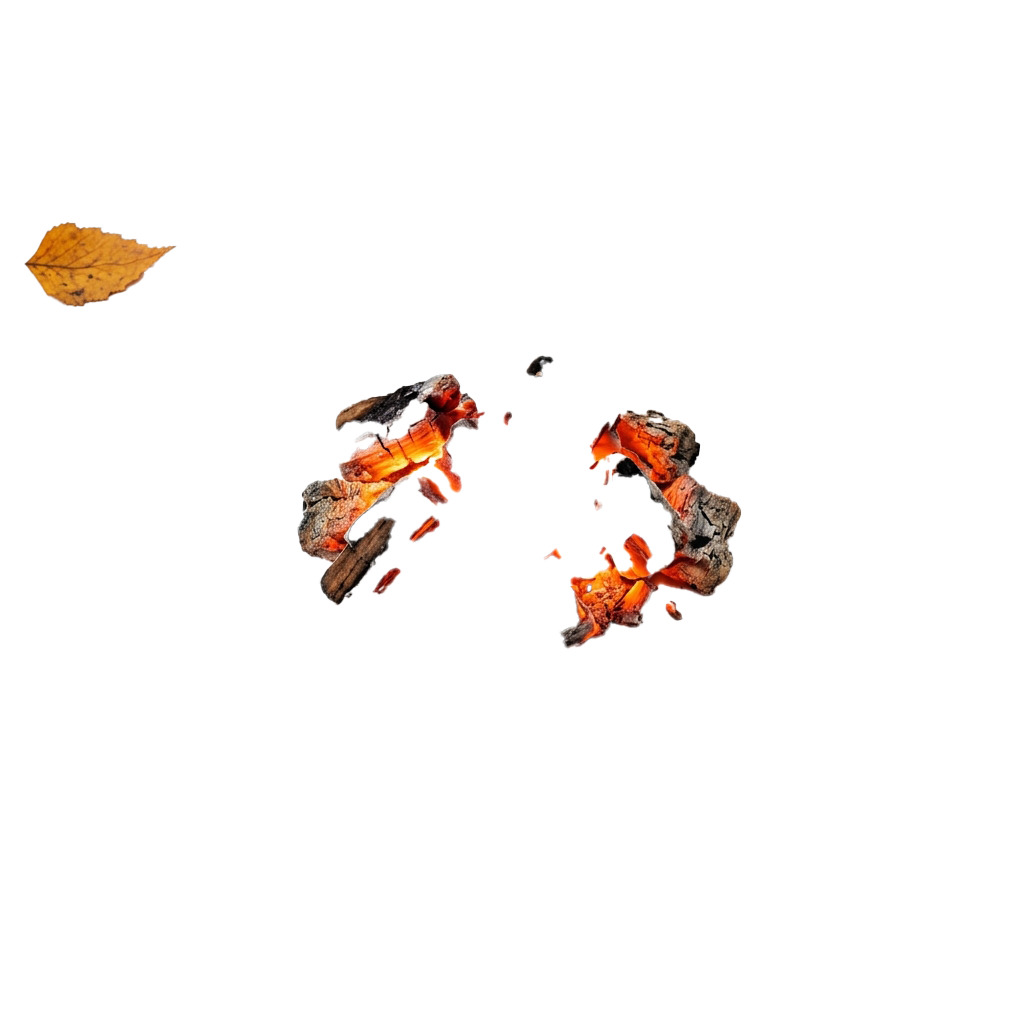 A dried leaf and glowing embers burning against a black background