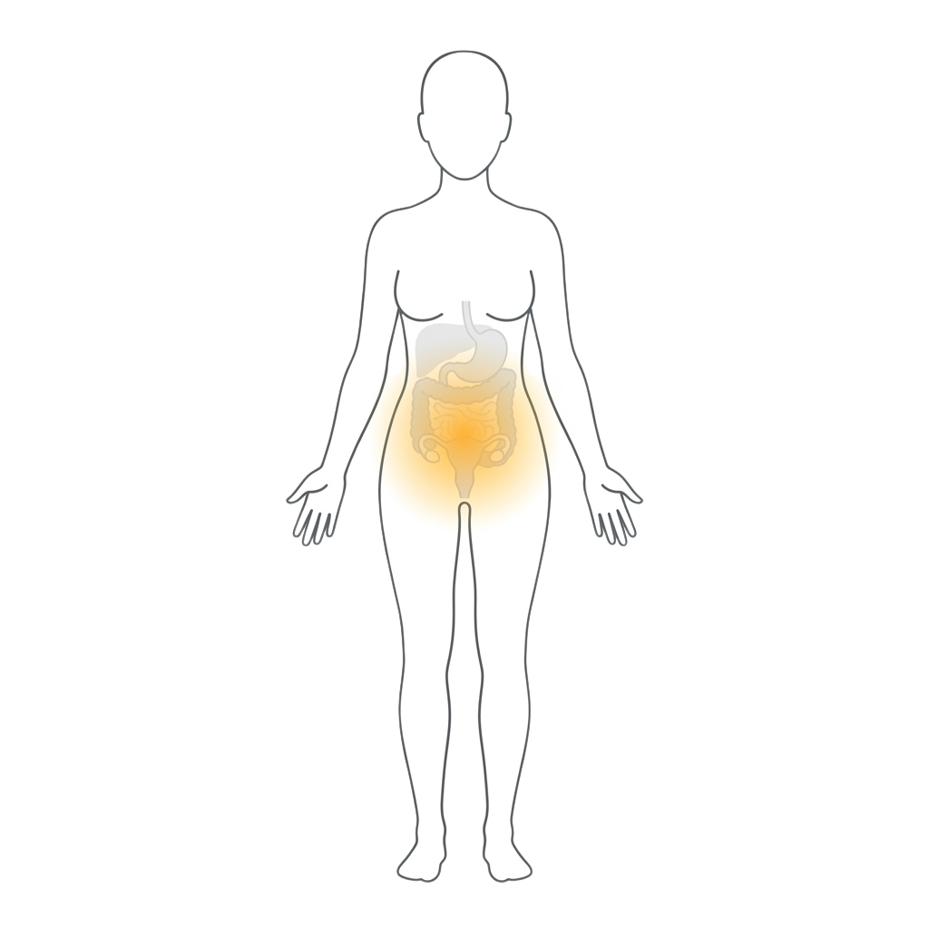 Illustration of a female figure with the pelvic and abdominal regions highlighted in a gradient glow.