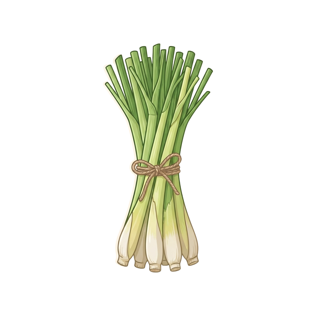 A bundle of fresh green leeks tied together with twine.