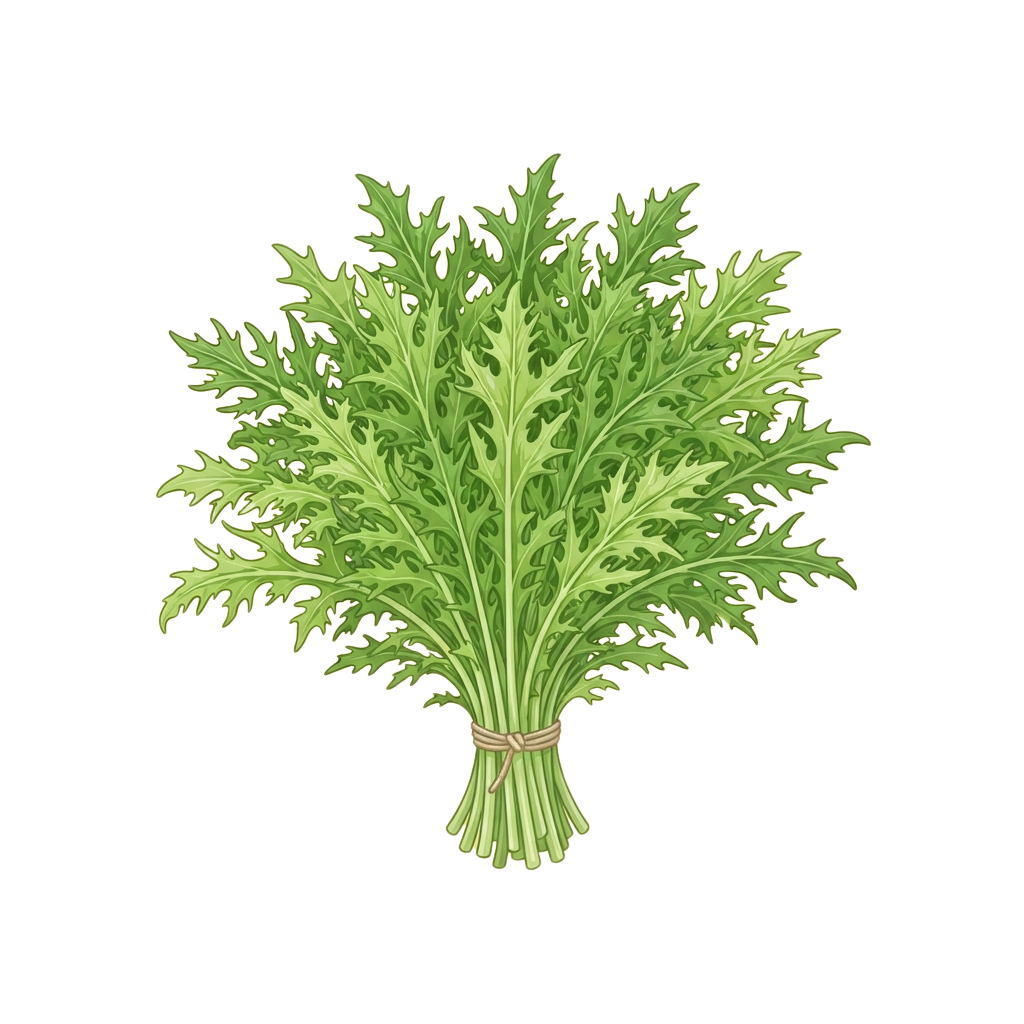 Illustration of a bundle of fresh green leafy vegetables tied with twine.