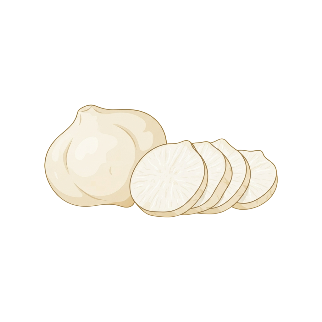 Illustration of a whole light beige onion and four of its sliced rounds on a black background