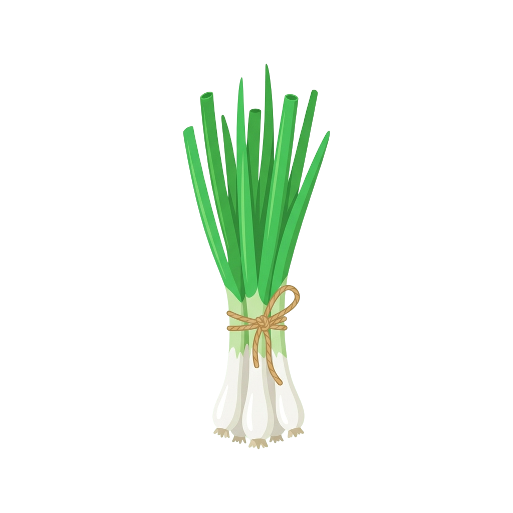 A bundle of green onions tied together with twine at the white bulb end