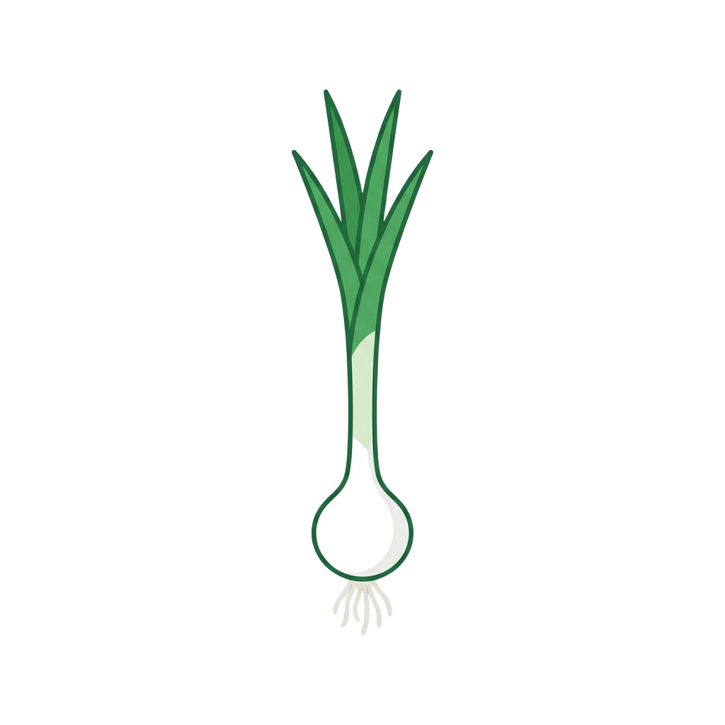 Illustration of a green onion with white bulb and green leaves on a black background