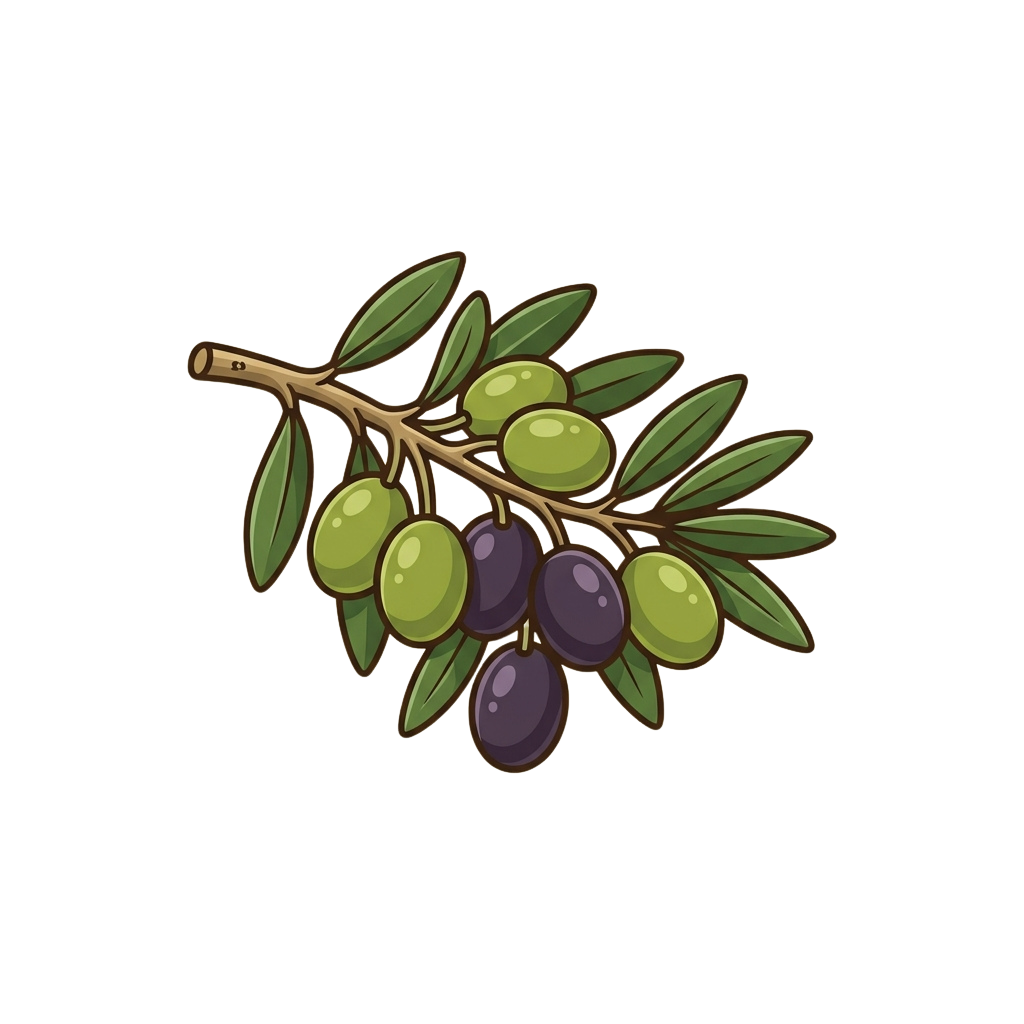 Illustration of a branch with green and purple olives and green leaves