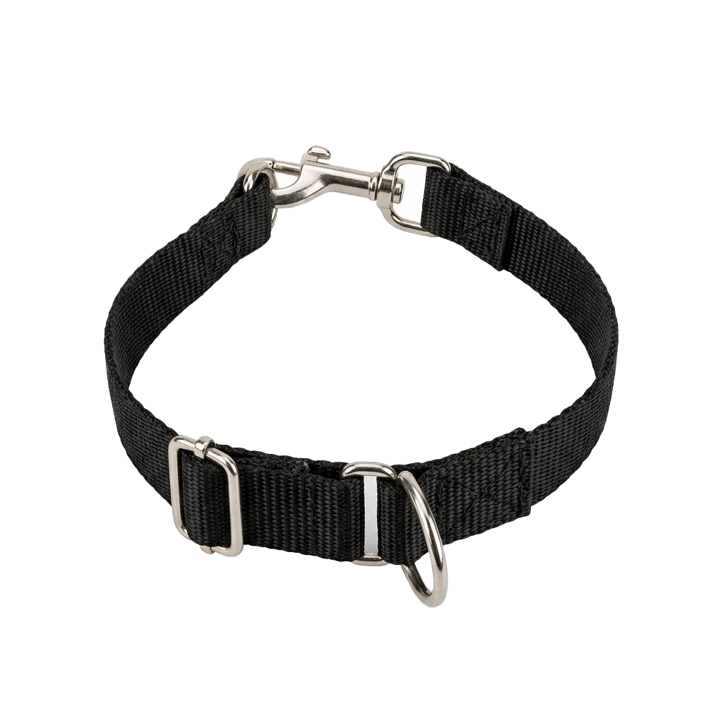 Black nylon dog collar with adjustable buckle and metal D-ring and snap hooks