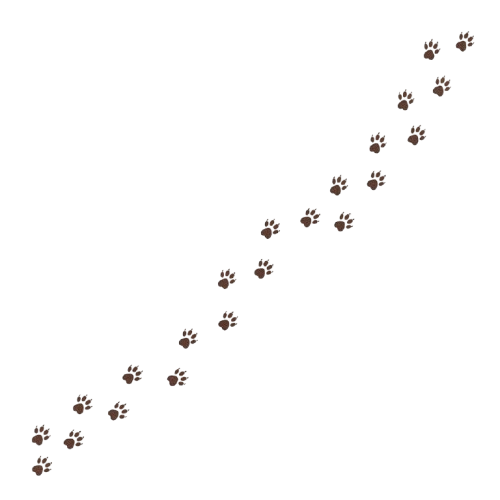Nine small brown caterpillars arranged diagonally on a black background