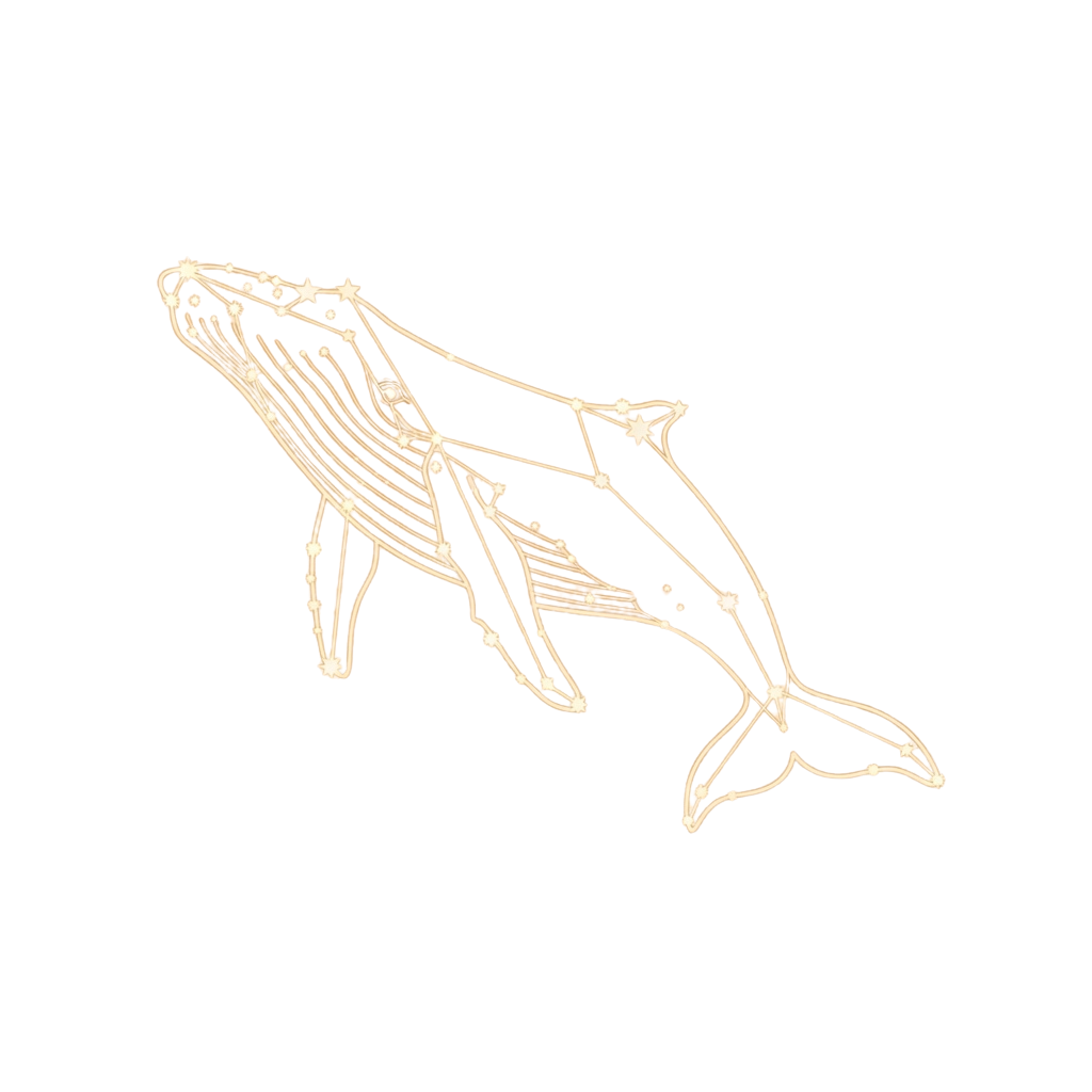 Line drawing of a whale swimming with a black background
