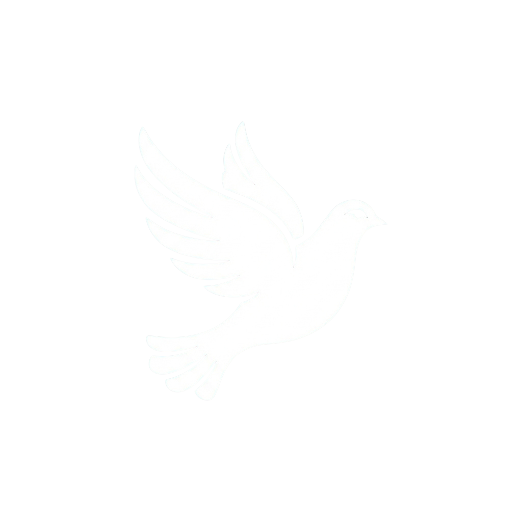 A white dove in flight against a black background symbolizing peace, freedom, or hope