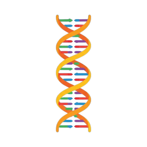 A stylized, colorful illustration of a DNA double helix structure against a black background