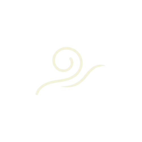 A simple white line drawing of a snail with a coiled shell and wavy body on a black background