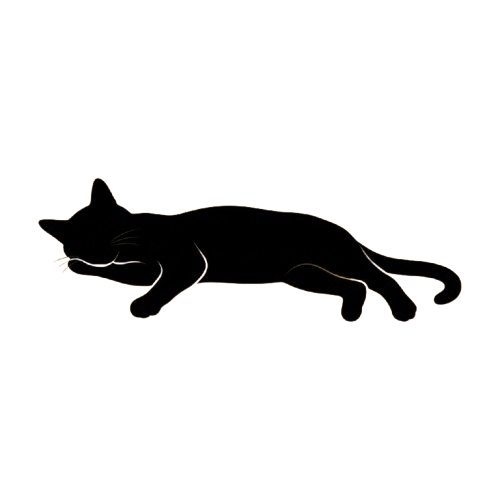 A black cat silhouette lying down in a relaxed pose on a dark background