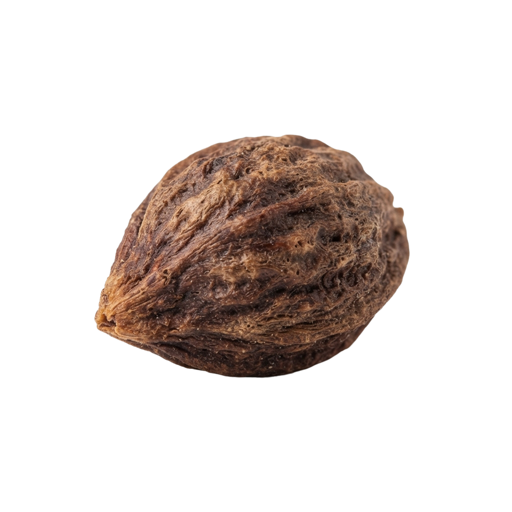 A close-up of a single roasted chestnut with a wrinkled, brown exterior.