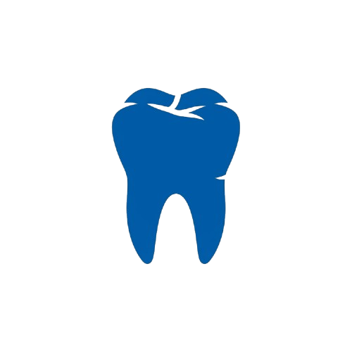 A blue cartoon depiction of a single tooth with two cusps and a pointed root.