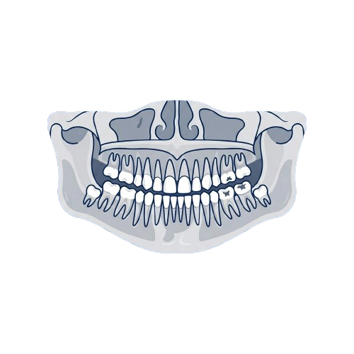 A stylized illustration of a human jawbone with teeth viewed from above