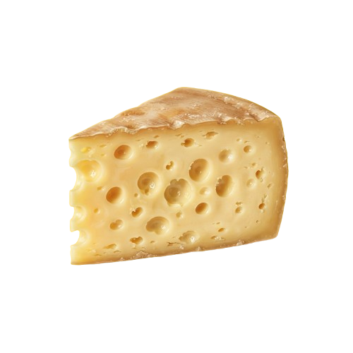 A close-up of a piece of cheese with a smooth, pale rind and round holes throughout the interior.