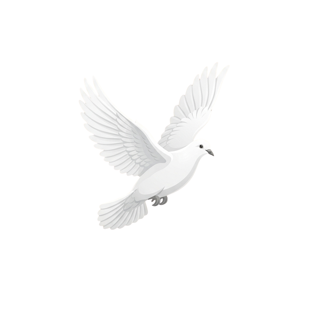 A white dove in mid-flight against a black background