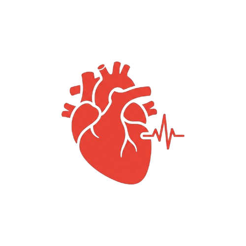 A red silhouette of a human heart with an ECG line graphic extending from the right side