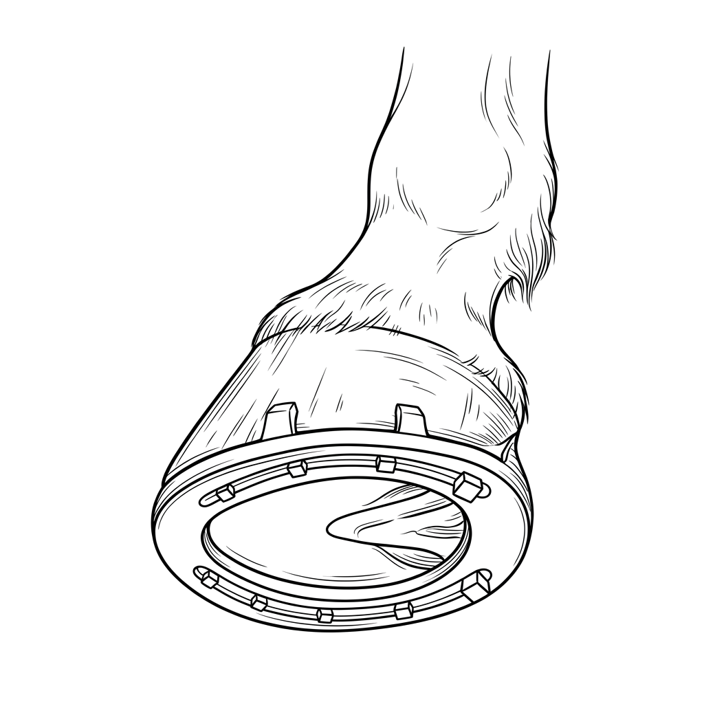 Solid black background with no visible elements or details