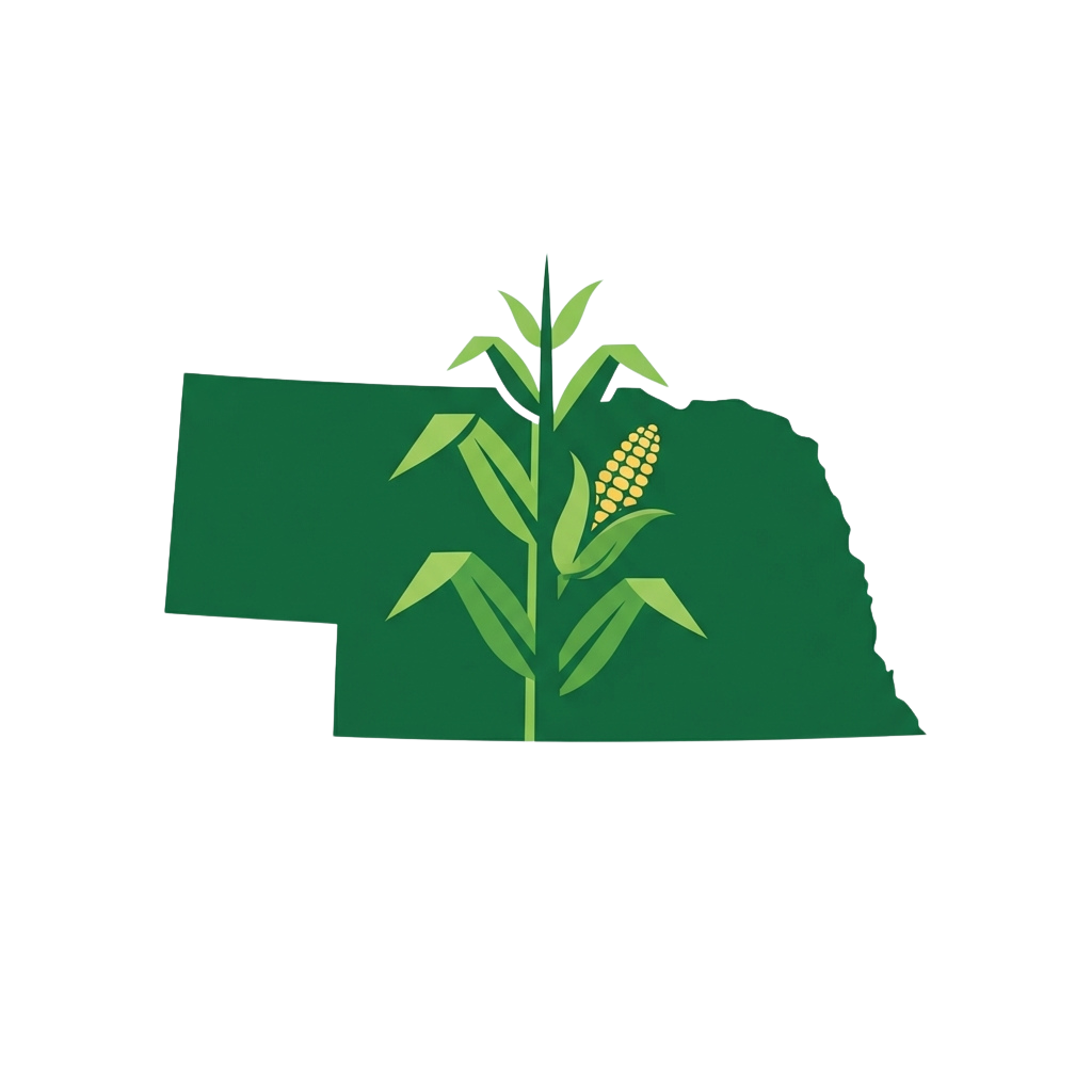 Illustration of Nebraska state shape with a corn plant featuring green leaves and golden kernels in the center