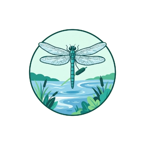 A colorful dragonfly illustration perched near water plants in a serene pond scene
