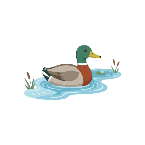 A cartoon duck with green head and brown chest swimming in calm blue water with ripples and small plants nearby