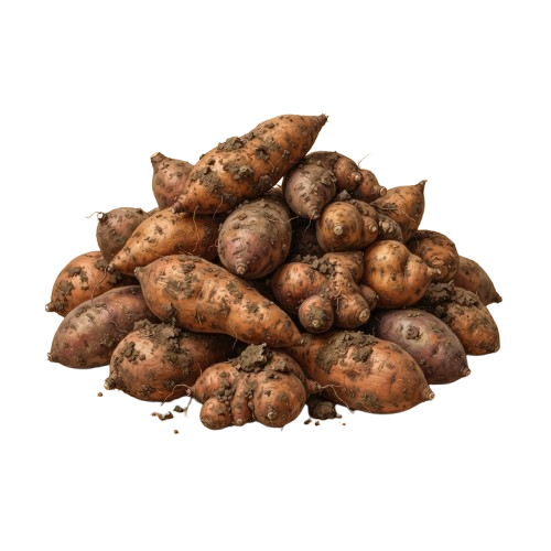 A pile of fresh sweet potatoes with brown skin and earthy texture.