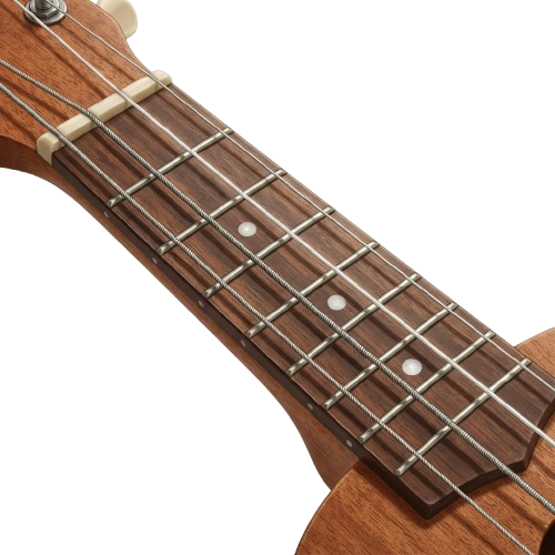 Close-up of an acoustic guitar neck showing six metal frets and strings on a wooden fingerboard