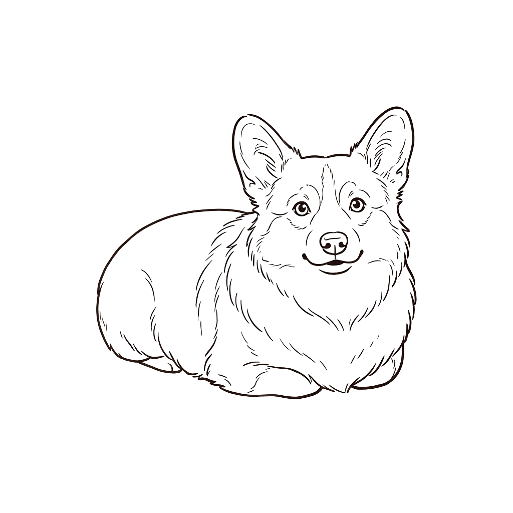 A simple line drawing of a corgi dog sitting on a dark background